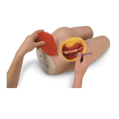Nasco Healthcare, Inc Simulator Intramuscular Injection Life/form Each - LF00961