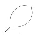 Conmed Corporation Snare Polypectomy Optimizer Soft Loop Wire Oval Large 10/Ca - 460