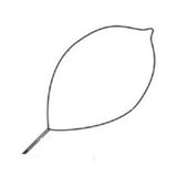 Conmed Corporation Snare Polypectomy Firm Loop Wire Oval 32mm Large 10/Ca - 100602