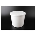 Fisher Scientific Co. Fisherbrand Specimen Container 172oz HDPE Non-Sterile 10/Ca - 14955121B