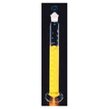 Kimble Chase Life Science Cylinder Borosilicate Glass 500mL Each - 085571F