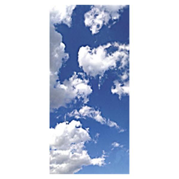 Medline Industries Inc Diffuser Fluorescent Light 1/Ca - MDR04SKY1
