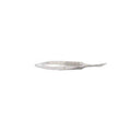 Miltex Scissors Tenotomy Westcott 5-1/4" Curved Stainless Steel Each - Integra Miltex - 18-1488