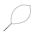 Conmed Corporation Snare Polypectomy Singular Firm Loop Wire Oval Large 10/Ca - 977