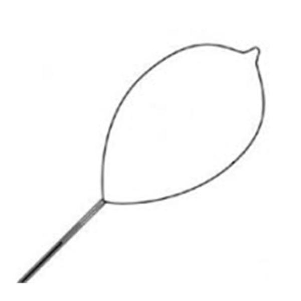 Conmed Corporation Snare Polypectomy Singular Soft Loop Wire Oval Medium 10/Ca - 983