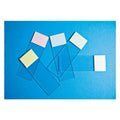 Fisher Scientific Co. SelectFrost Frosted Microscope Slide 3x1" White 144x10Pk - 12550003