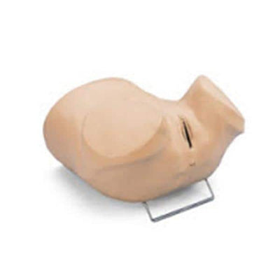 Nasco Healthcare, Inc Gynecological Simulator Training Gaumard Each - SB23542 L