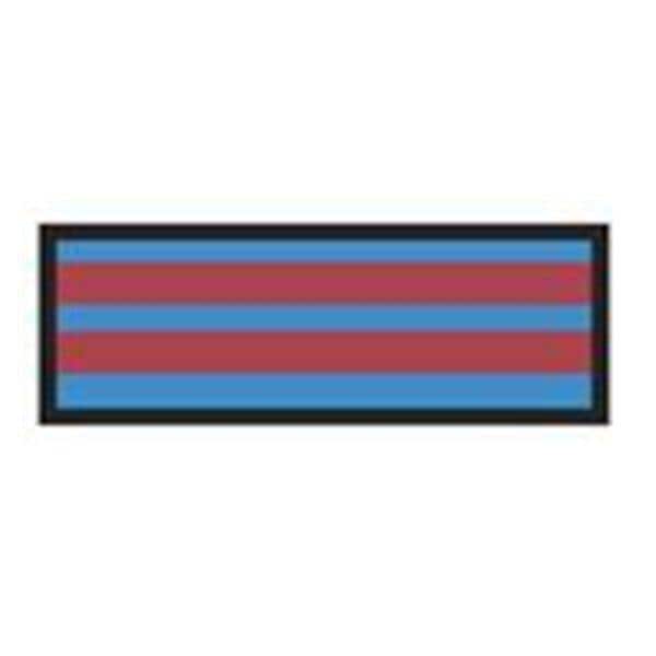 Aspen Surgical Tape Instrument ID ColorTrack 8-1/2x11" Sheet/1/4" Flexible Blue/Red Stripe Each - 156004EEA