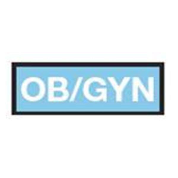 Aspen Surgical Tape Instrument ID 8-1/2x11" Sheet/1/4" Flexible White OB GYN/Blue Each - 158093EEA