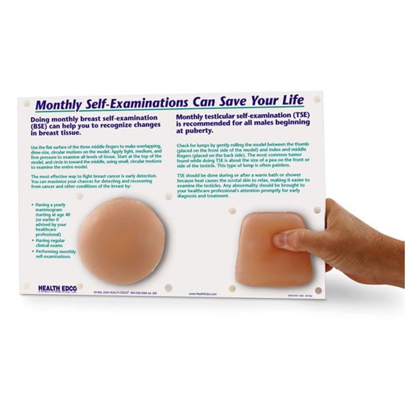 Nasco Healthcare, Inc Breast/Testicular Self-Examination Model Anatomical Adult Each - SB34569
