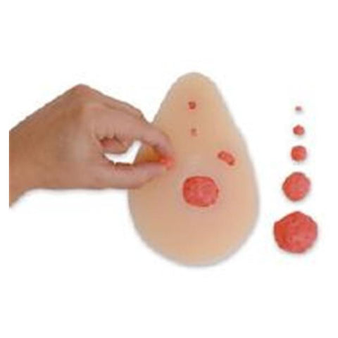 Nasco Healthcare, Inc Breast/Testicular Self-Examination Model Anatomical Adult Each - SB23327