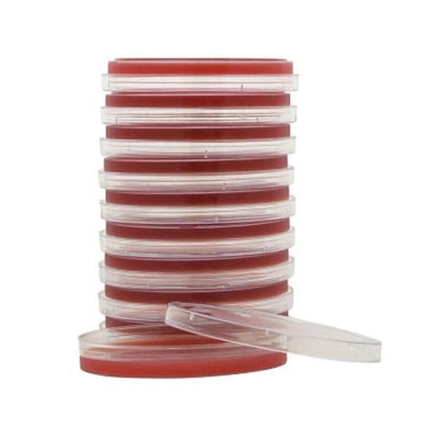 Hardy Diagnostics GBS Detect Strep Group B Culture Plate 17mL 15x100mm 10/Pk - A300