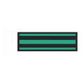 Aspen Surgical Tape Instrument ID ColorTrack 8-1/2x11" Sheet/1/4" Flexible Blk/KlyGrn Strp Each - 153003EEA