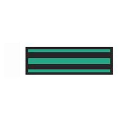 Aspen Surgical Tape Instrument ID ColorTrack 8-1/2x11" Sheet/1/4" Flexible Blk/KlyGrn Strp Each - 153003EEA