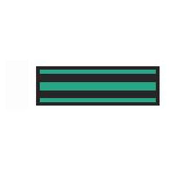 Aspen Surgical Tape Instrument ID ColorTrack 8-1/2x11" Sheet/1/4" Flexible Blk/KlyGrn Strp Each - 153003EEA