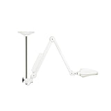 Burton Medical LLC Mount Each - NXC