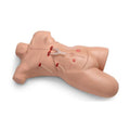 Nasco Healthcare, Inc Manikin Training Surgical Sally Each - LF00929