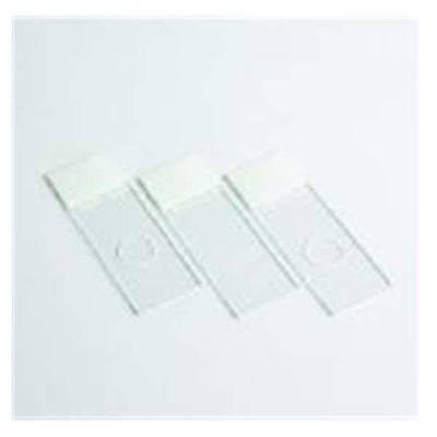 Richard CytoSlide Single Slide 100/Bx - Allan Scientific - 5991051