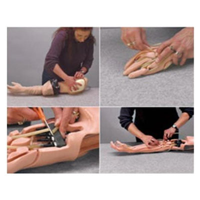 Nasco Healthcare, Inc DVD Training IV Arm Skin & Vein Replacement Each - LF01104