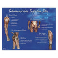 Nasco Healthcare, Inc Poster Training Intramuscular Injection Sites 18x24" Each - LF00695