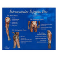 Nasco Healthcare, Inc Chart Training Intramuscular Injection Sites 10-1/2x14" Each - LF00696