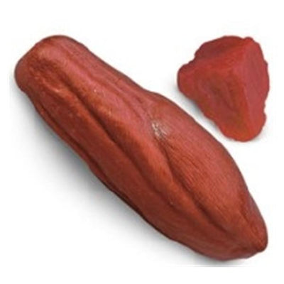 Nasco Healthcare, Inc Muscle Replica Anatomical Life/form Each - WA25813