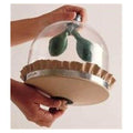 Wards Natural Science Model Functional Lung Each - 817000