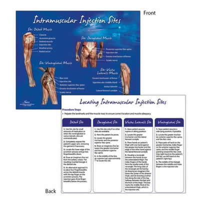 Nasco Healthcare, Inc Simulator Intramuscular Injection TearPad Each - LF00697