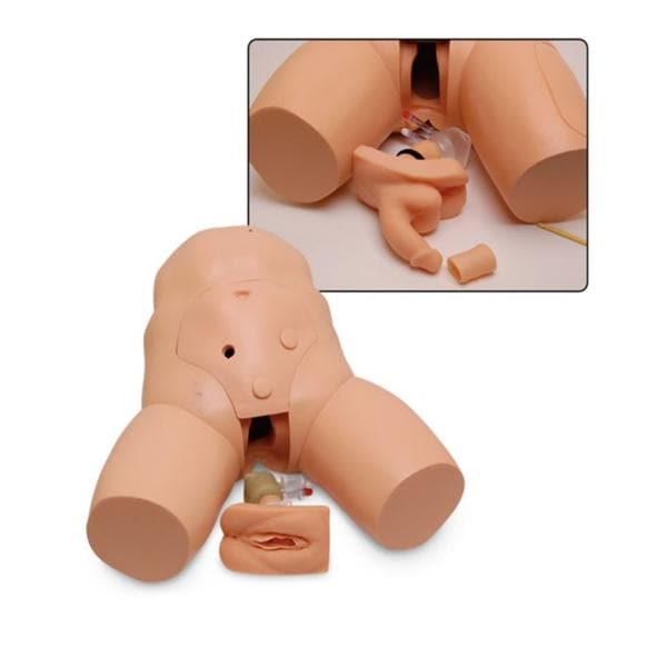 Nasco Healthcare, Inc Trainer Training Willi and Cathi Catheterization Each - SB50115