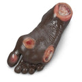 Nasco Healthcare, Inc Foot Pressure Ulcer Model Anatomical Elderly Each - LF00944