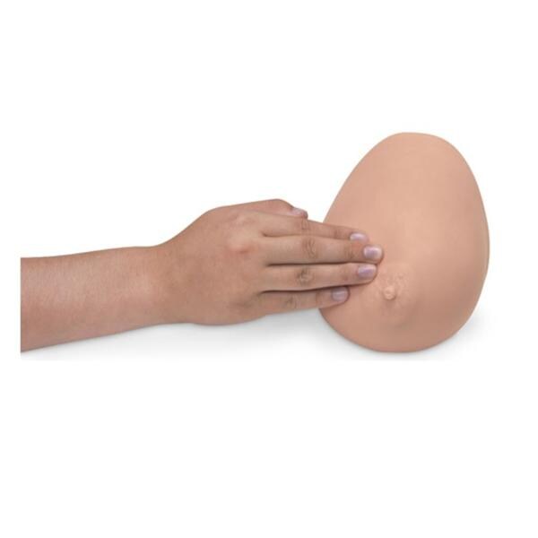Nasco Healthcare, Inc Breast Self Examination Model Anatomical Each - 160-1040