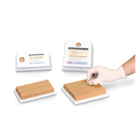 Nasco Healthcare, Inc Venipuncture Model Training Each - SB23526