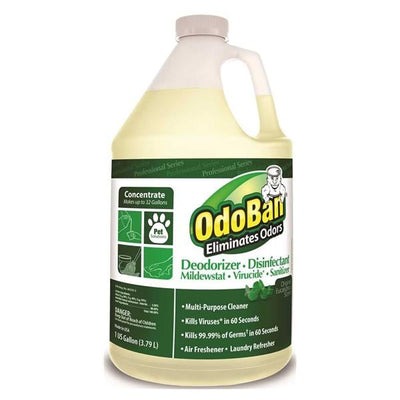 LAGASSE INC Disinfectant Liquid OdoBan Eucalyptus 1 Gallon 4/Ca - ODO911062G4