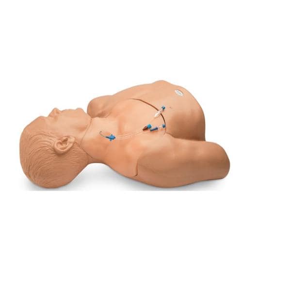 Nasco Healthcare, Inc Model Manikin Training Gen II Each - BPH660