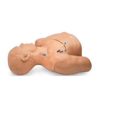 Nasco Healthcare, Inc Model Manikin Training Gen II Each - BPH660