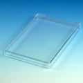 Globe Scientific Lid, for Microtitration Plates, PS - GS-129930