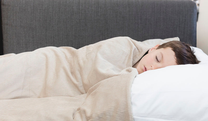 Sommerfly, Sleep Tight Weighted Blanket, Tan Corduroy, XS - FE-13-4165