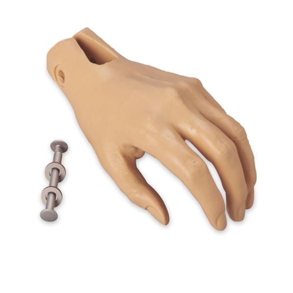 Nasco Healthcare, Inc Hand Manikin Replacement Left Each - LF04077