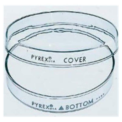 Corning Glass Works Pyrex Petri Dish 100x15mm 12/Pk - 08747C