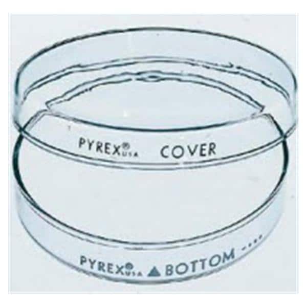 Corning Glass Works Pyrex Petri Dish 100x15mm 12/Pk - 08747C