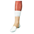 Scott Specialties Inc Brace Compression Ankle Open Toe/Heel Medium 8.25-9" Each - 1400-02