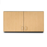 Clinton, Wall Cabinet, 2 Doors, 48" x 12" x 24"