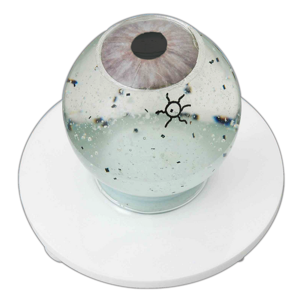 SIEPSER VITREOUS FLOATER DEMONSTRATOR