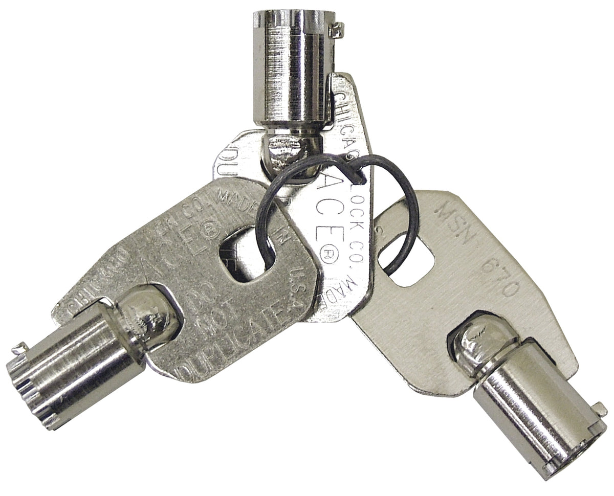 Omnimed Replacement Wafer Keys (3)