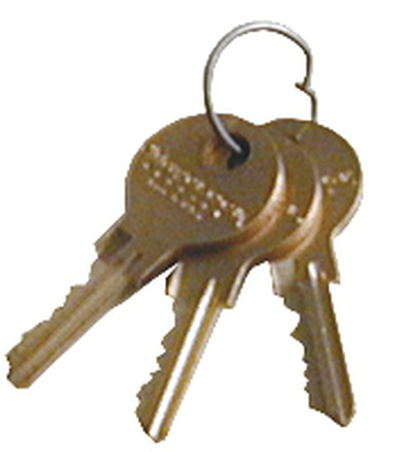 Omnimed Replacement Flat Key & Lock for Refrigerator Lock Box (2 Keys)