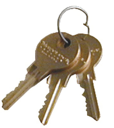 Omnimed Replacement 3 Flat Keys (Acrylic Locks)
