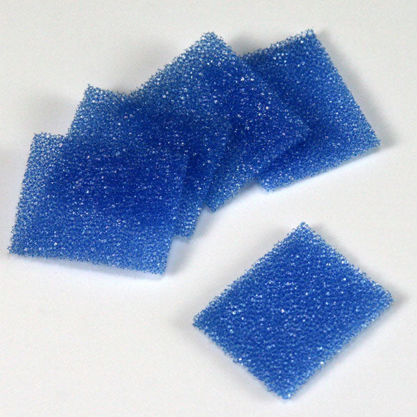 Globe Scientific Biopsy Sponges for Cassettes, Foam, Blue, 30.2mm x 25.4mm x 2mm, 1000 of Pack - GS-190195