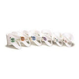 Laerdal Medical Corp Collar Stifneck Regular Cervical Each - 980500