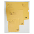Wolf X Envelope X-Ray 14x17" 500/CA - Ray - 15115
