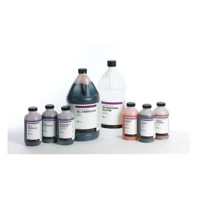 Richard Eosin-Y Stain Phloxine 1pt 4/Ca - Allan Scientific - 71304